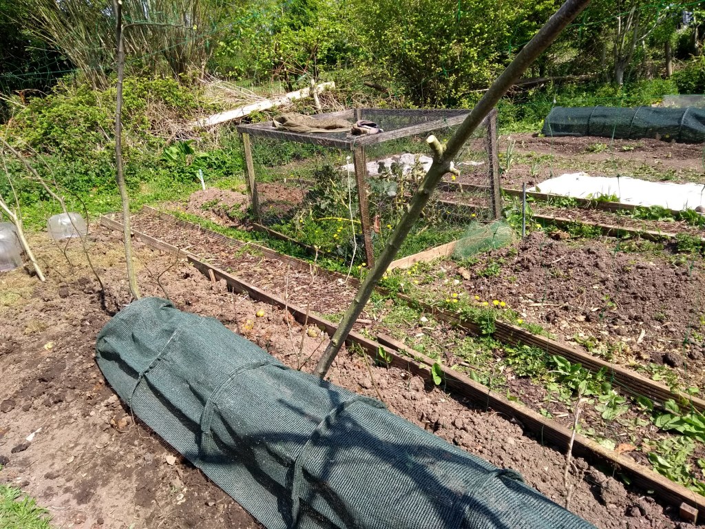 This image has an empty alt attribute; its file name is img_20200423_130018842.jpg